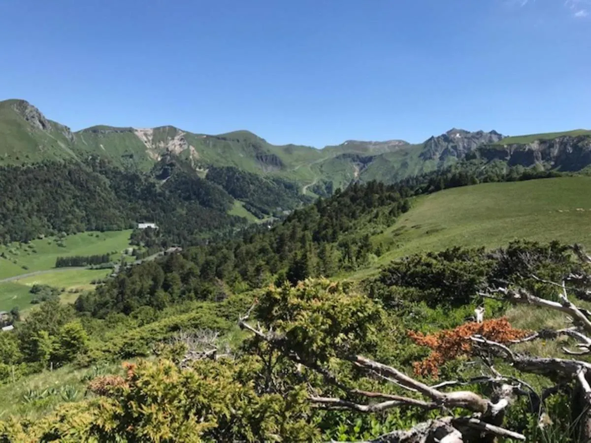 Apartment Charmant T2 Avec Balcon, Parking, Proche Centre Et Thermes - Mont-Dore - Fr-1-608-215 France